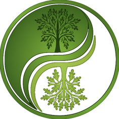 The Better Health & Wellbeing Hub